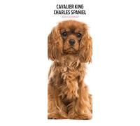 Cavalier King Charles - Calendario delgado 2025