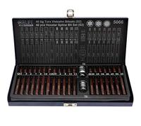 CCLIFE 40 piezas Juego de Puntas Torx XZN Puntas de Vaso Puntas Hexagonal S2 puntas T20-T55 M5-M12 H4-H12