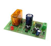 CEBEK - Temporizador Ciclico Con Salida Relé A 12 V Dc De 20 Minutos A 2,5 Horas I-12