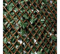 CELOSÍA EXTENSIBLE CON HOJAS Green 1x2m