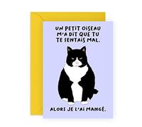 Central 23 Carte de vœux chat pour homme et femme - un petit oiseau m'a dit que tu te sentais mal - Carte de bon rétablissement - Carte d'encouragement pour les amis - livré avec autocollants