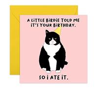 Central 23 - Tarjeta de cumpleaños graciosa - Feliz cumpleaños para amigos - Diseño divertido - Tarjeta de felicitación de gato - Viene con pegatinas divertidas