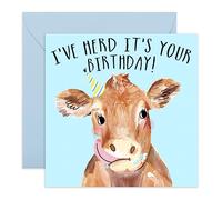 Central 23 - Tarjeta de cumpleaños para ella - Habla es tu cumpleaños - Feliz cumpleaños de animales para él - Divertida vaca Pun - Viene con lindas pegatinas