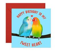 Central 23 - Tarjeta de cumpleaños para marido o esposa - 'Happy Birthday to My Tweet Heart' - Cute Birds - Para novia o novio - Viene con divertidas pegatinas