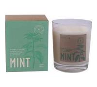 Cerabella Vela Vaso Botvasm Mint Menta 7,5 X9 cm 1 ud