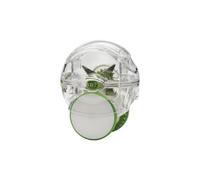 Chef'n 27439 Garlic Zoom Picador Ajos, Plástico, Verde
