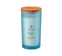Chesapeake Bay Reflection + Clarity Oak Moss Amber vela perfumada 355 g