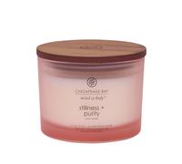 Vela perfumada Chesapeake Bay Stillness + Purity con 3 mechas 312 g