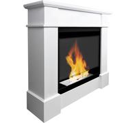 Chimenea de etanol Campo24, modelo Paula: chimenea de pie, bioetanol, para interiores, diseño moderno, sin olores, segura y ecológica