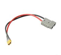 Chroavel Cable de carga solar de cobre plateado 50 A 30 cm para estación de | Potencia de 50 A, 600 V, sección transversal de 10 AWG, 30 cm de longitud, para conector xt60, ideal para estaciones de