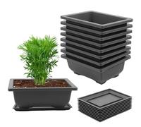 CHUIFAI 12 macetas para bonsái con Posavasos, 23 x 17 x 8 cm, Cuenco para bonsái, macetas Grandes de plástico para alféizar de Ventana, jardín, terraza
