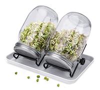 Cicytukua Kit de tarros de germinador de Semillas, 2 tarros de germinación con Tapas de colador de Acero Inoxidable, Juego de tarros de germinación para Semillas de brócoli, Frijoles de brócoli