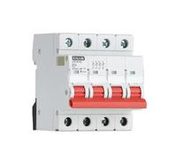CILIA Interruptor Seccionador 25A/40A/63A 4P 415V AC, Montaje Sobre Carril DIN, Ocupa 4 Módulos In=25A (JVD16-63-4P-25A)