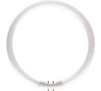 CIRCULINA FLUORESCENTE LA'MPARA TL5 22W D23 WARM LIGHT TL5C2283