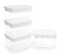 Citylife Juego de 4 Cajas de almacenamiento con tapa, organizador de artesanías, 30L Cajas almacenaje transparente, 6 compartimentos de almacenamiento, Tapa para almacenar bloques de construcción