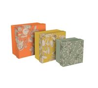 Clairefontaine 116359C - Jardin des Sens, Set de 3 boîtes gigognes carrées 25x25x12 cm, 20x20x11cm, et 16x16x10 cm