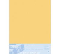 Clairefontaine 396022C Contracolado Papel Pastelmat - 5 Hojas Contracoladas Cartulina Especial para Pasteles Secos - 70x100 cm 360g 1,8 mm - Amarillo dorado