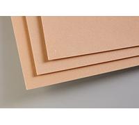 Clairefontaine 696012C Paquete Papel Pastelmat - 5 Hojas Cartulina Especial para Pasteles Secos - A3 29,7x42 cm 360g - Siena