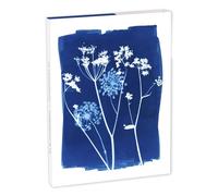 Clairefontaine 83507C - Juego de 8 cartas de 11 x 15,5 cm, diseño floral, cianotipo y 8 sobres Polen C6, color blanco natural, colección Cyanotype - 12 x 16,5 cm