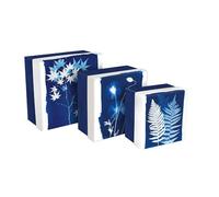 Clairefontaine 83514C - Cyanotype, Set de 3 boîtes gigognes carrées 25x25x12 cm, 20x20x11cm, et 16x16x10 cm