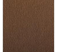 Clairefontaine 90865C Estuche Papel Etival Color - 5 Hojas Papel de Dibujo con Grano Marrón - A4 21x29,7 cm 160g - Ideal para el Dibujo y las Actividades Creativas