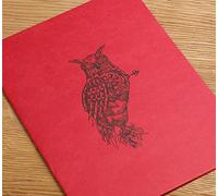 Clairefontaine 930033C Libreta cosida Flying Spirit - 50 Hojas Papel Esquisse Marfil 21x16 cm 90g - Cubierta en Cartulina Rojo - Ilustración impresa al dos aleatorio
