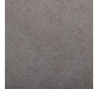 Clairefontaine 93862C Paquete Papel Etival Color - 25 Hojas Papel de Dibujo con Grano Gris Chiné - A4 21x29,7 cm 160g - Ideal para el Dibujo y las Actividades Creativas