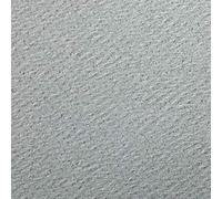 Clairefontaine 93895C Paquete Papel Etival Color - 25 Hojas Papel de Dibujo con Grano Gris Cielo - A4 21x29,7 cm 160g - Ideal para el Dibujo y las Actividades Creativas