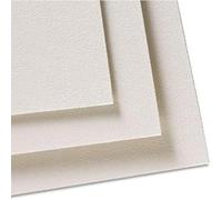Clairefontaine 96010C - Pack de 5 hojas de dibujo (50 x 70 cm, 360 g, para técnicas secas y pastel), color blanco