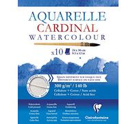 Clairefontaine 96195C - Bloc de dibujo vertical para acuarela (2 tipos de grano, 24 x 30 cm, 10 páginas, 300 g, hojas encoladas), color blanco
