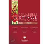 Clairefontaine 96374 C bloque Etival grano Classic pintar un parte 10 hojas A4/210 x 297 mm 200 G