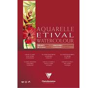 Clairefontaine 96384C - Un álbum a espiral de papel de dibujo Etival grano clásico 10 hojas 21x29,7 cm 200g, Blanco