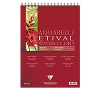 Clairefontaine 96385C - Un álbum a espiral de papel de dibujo Etival grano clásico 10 hojas 29,7x42 cm 200g, Blanco