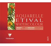 Clairefontaine 96396C - Un bloc encolado 4 lados de papel de dibujo Etival Grano Classic 10 hojas 24x30 cm 300g, Blanco