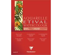 Clairefontaine 96397C - Un bloc encolado 4 lados de papel de dibujo Etival Grano Classic 10 hojas 30x40 cm 300g, Blanco