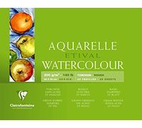 Clairefontaine 96461C - Un bloc encolado 4 lados de papel de dibujo Etival Grano Granulado grueso 25 hojas 24x30 cm 300g, Blanco