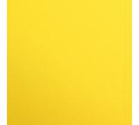 Clairefontaine 97353C - Pack de 25 Hojas Lisas - A4 (21x29,7 cm) 120g - Para Dibujar y Actividades Creativas - Amarillo Sol
