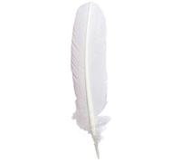 Clairefontaine ES J Herbin - Pluma de ganso blanca