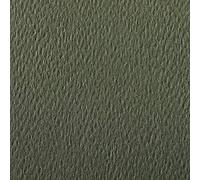 Clairefontaine ES Papel de dibujo granulado de color Etival, papel, Sea Green, A4