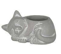 Classic Home and Garden 260009P-396 - Maceta para Gatos, Grande, Natural