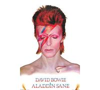 Close Up Póster de David Bowie Aladdin Sane (61cm x 91,5cm) + 1 Póster con Motivo de Paraiso Playero