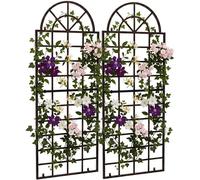 CLP Rankgitter Viva, juego de 2 unidades de hierro con arco redondeado y soporte de pared para jardín | Color: bronce