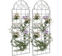 CLP Rankgitter Viva, juego de 2 unidades de hierro con arco redondeado y soporte de pared para jardín | Color: blanco envejecido
