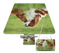Cmagnifico Tapete de picnic, manta cuadrada de picnic Cavalier King Charles Spaniel, para exteriores, 148 cm x 148 cm