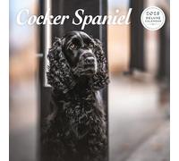 Cocker Spaniel - Calendario de lujo 2025