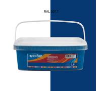 Cofan Pintura Plástica Monocapa | Color Azul Marino | Apta para usar en interior | Cantidad 2.5 Litros