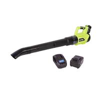Cofan Soplador de hojas a batería 20 V con 2 velocidades, Flujo de aire de hasta 9,6 m3/min, 22500 rpm, Diseño compacto con tubo desmontable, Incluye batería y cargador