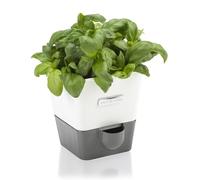 Cole & Mason Burwell Macetero para Hierbas Frescas con Riego Automático