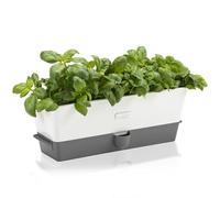 Cole & Mason H105349 Burwell Conservador para Hierbas Aromaticas en Macetas, Blanco/Gris, Cultivo de Plantas Hierbas de Interior, Acero Inoxidable, Triple, para 3 macetas