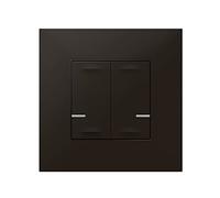 Comando Doble de iluminacion inalambrico Legrand 741872 serie Valena Next with Netatmo color Dark